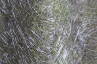 Drumbeg fibreglass roof work